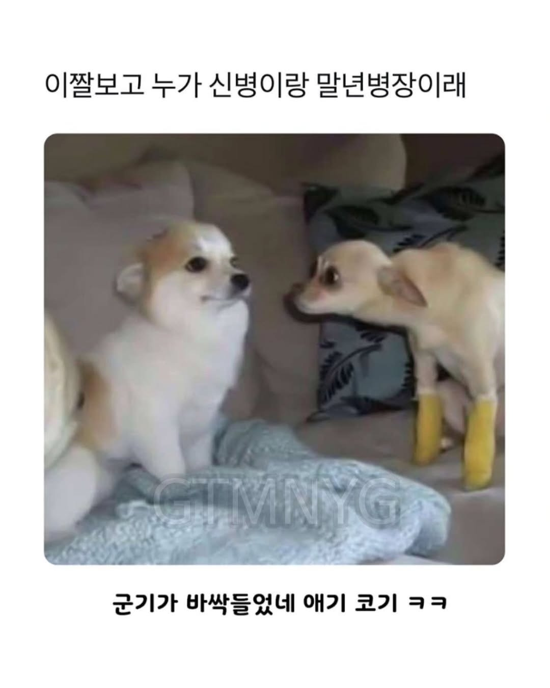 이거 누가 이렇게 말한 뒤로 안 잊혀져 | 인스티즈