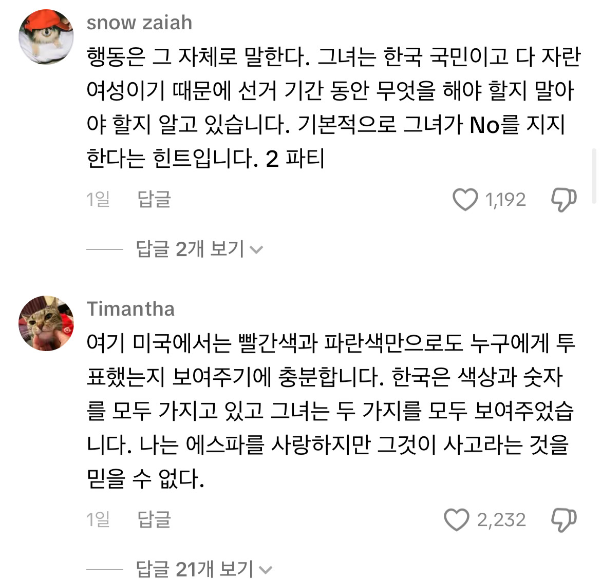 틱톡보는데 카리나 팬말고 다른 외국인들 반응 개안좋음 | 인스티즈