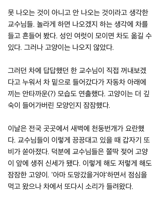 "차에 고양이 들어있음" 쪽지에 우르르 몰려나온 교수님들, 그 이후 | 인스티즈