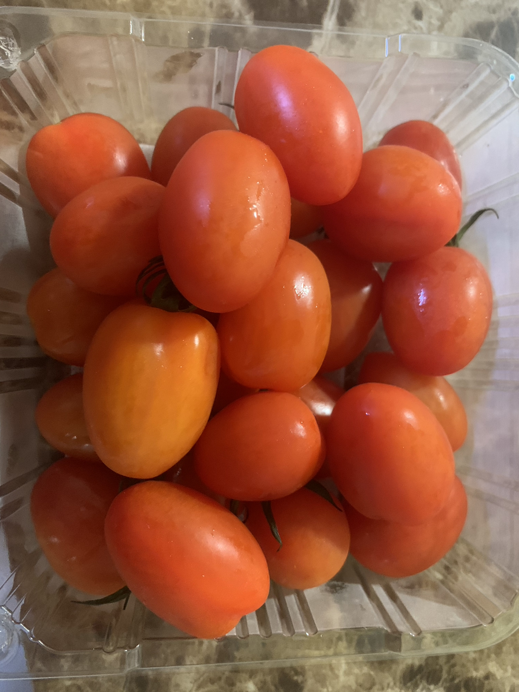 알리 코인딜) 망고향 스테비아 방울토마토 500g 3135원 - 세일정보 💸 - ＊여성시대＊ 차분한 20대들의 알흠다운 공간