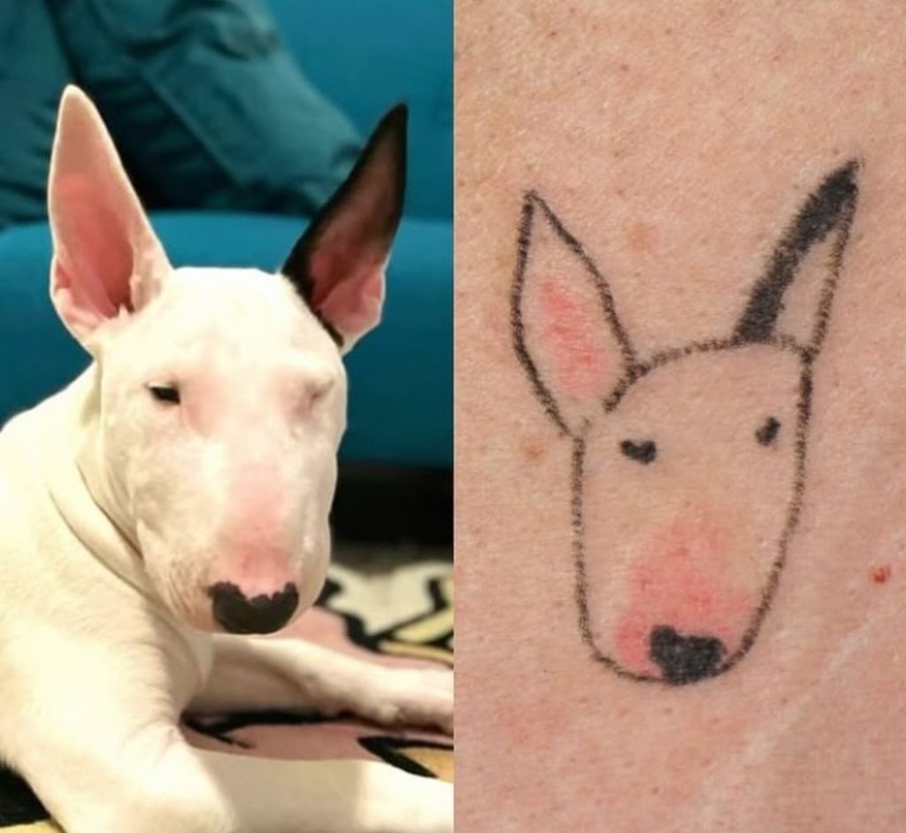 애매한데 비슷한 느좋 동물 타투들 | 인스티즈