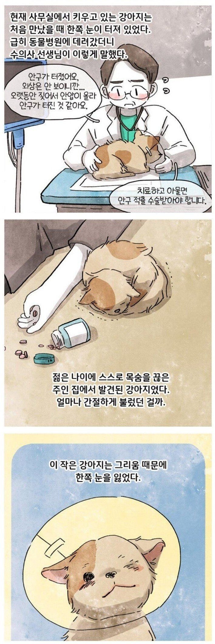 고독사 현장을 청소하는데 강아지가.toon | 인스티즈