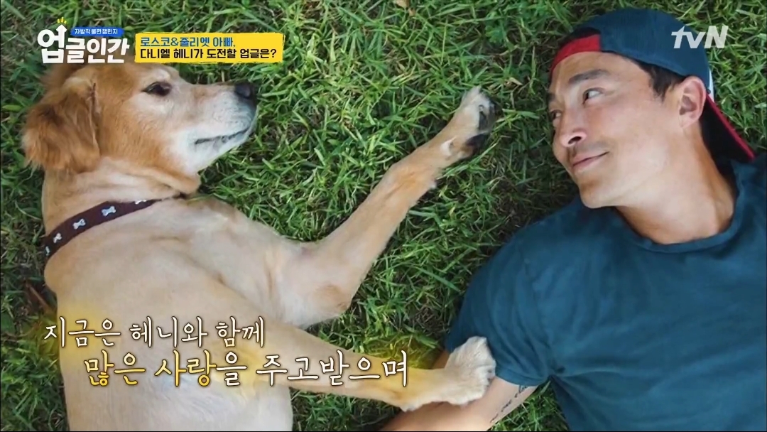 식용견 농장에서 구출된 다니엘 헤니의 강아지 로스코, 줄리엣 | 인스티즈