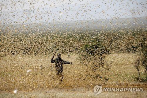 지구가 아프다는 말은 개뿔 | 인스티즈