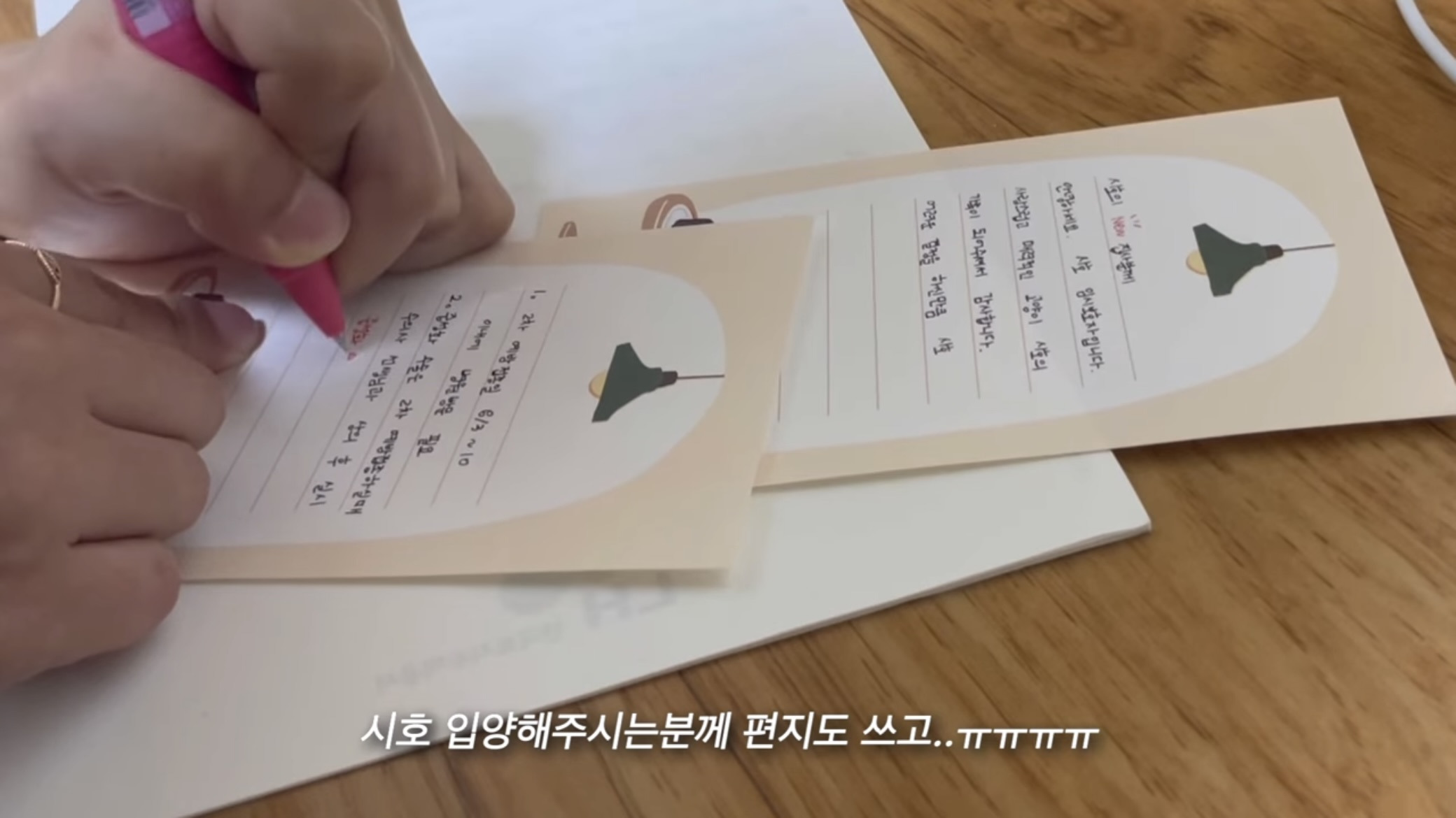 언니가 다리다친 아기고양이를 주워왔다 | 인스티즈