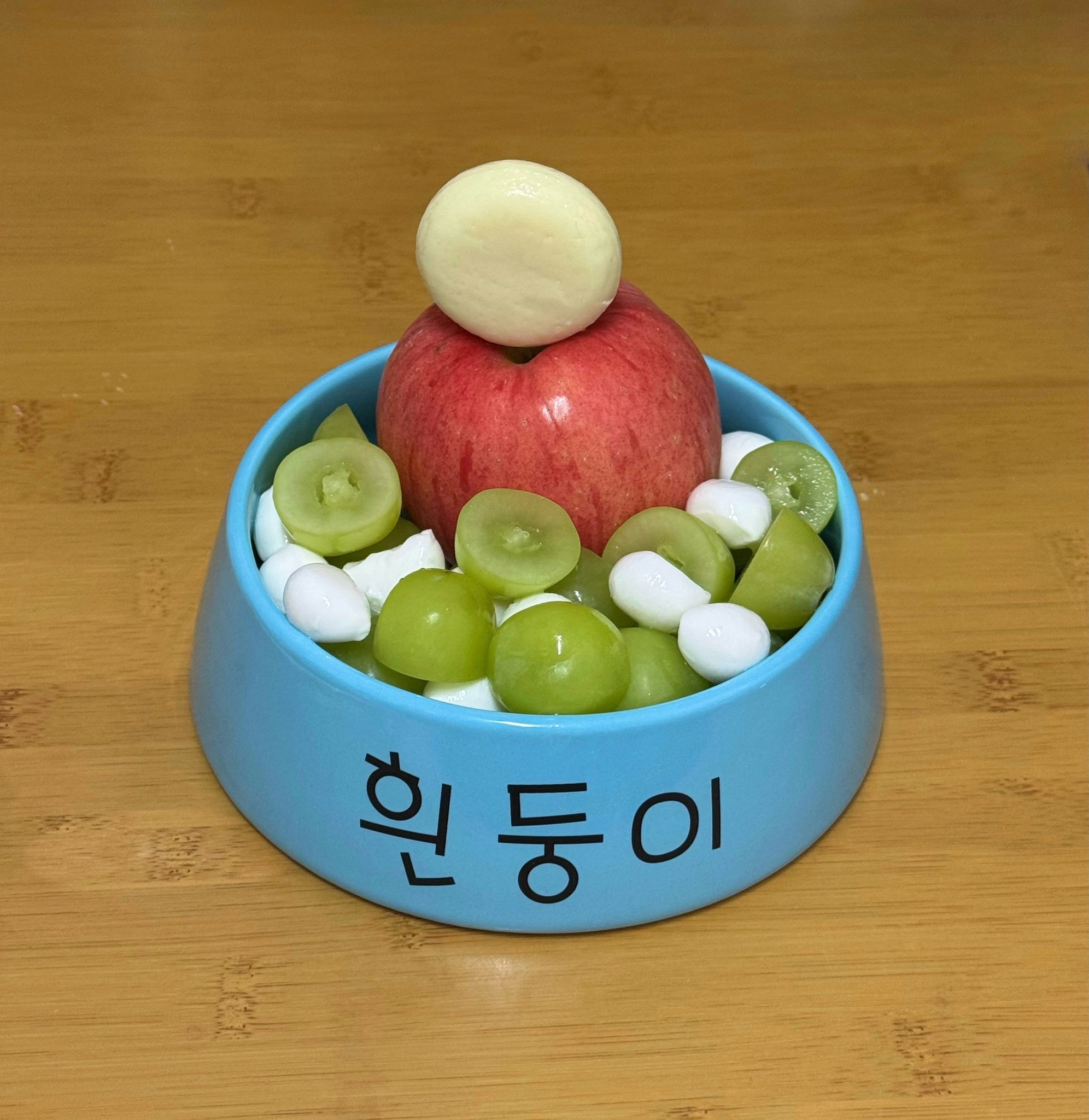 흰둥이 밥그릇에 밥먹는 사람 | 인스티즈