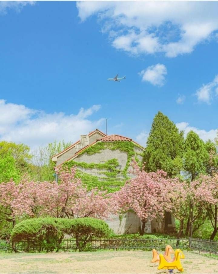 요새는 보기 힘든 저층아파트의 감성 | 인스티즈
