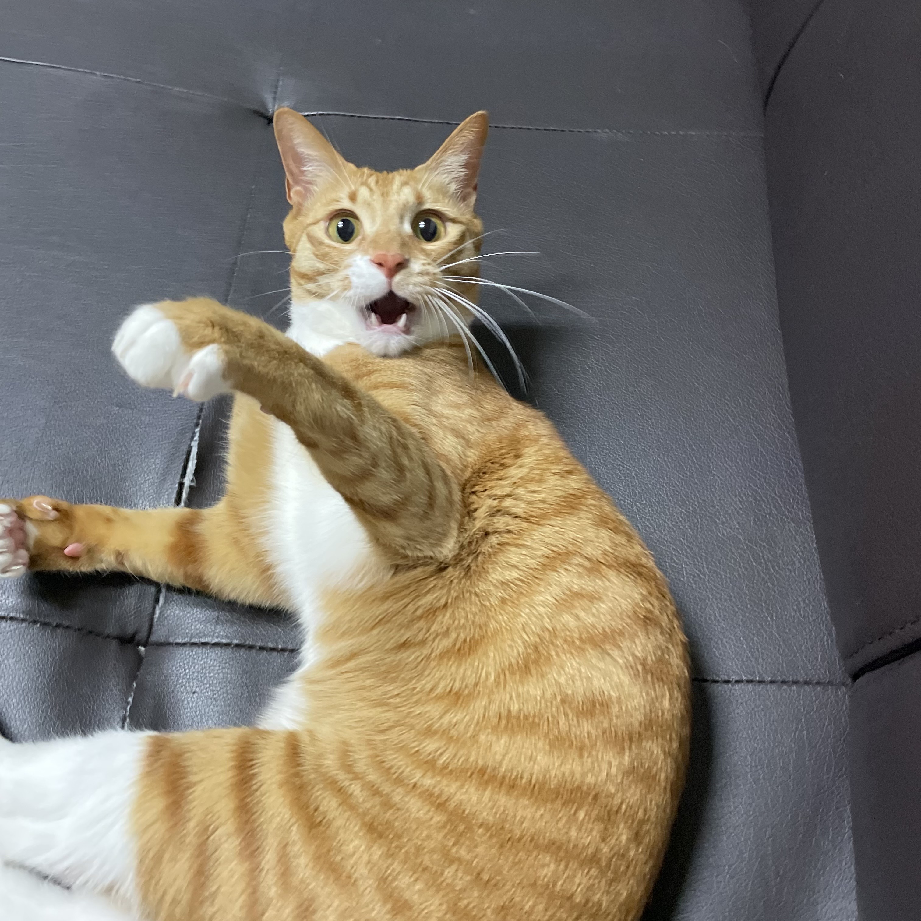 가... | 인스티즈