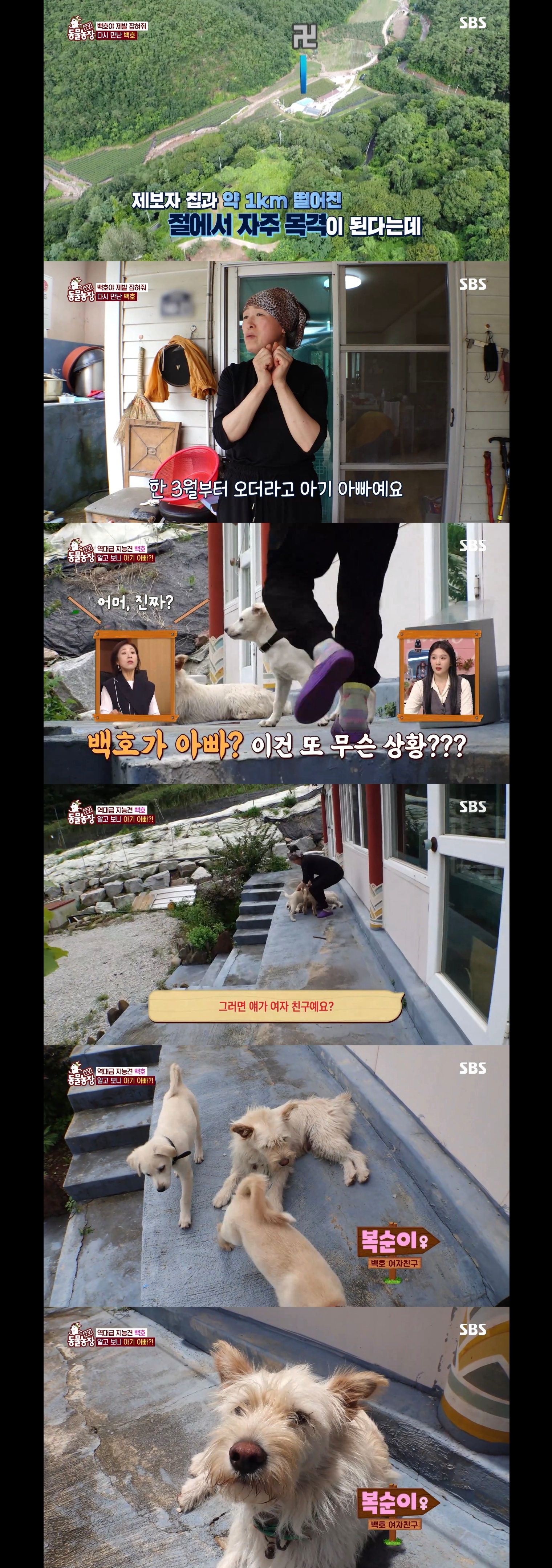 개가 너무 똑똑해서 역대급으로 구조 힘들었던 이번주 동물농장 방송.jpg | 인스티즈