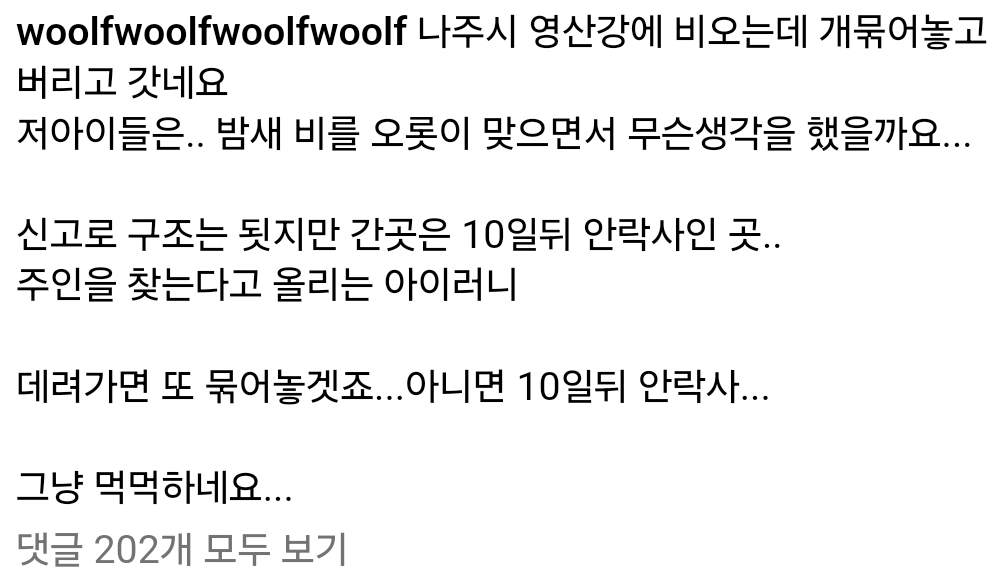 밤새 내리는 비를 맞으며 무슨 생각을 했을까 | 인스티즈