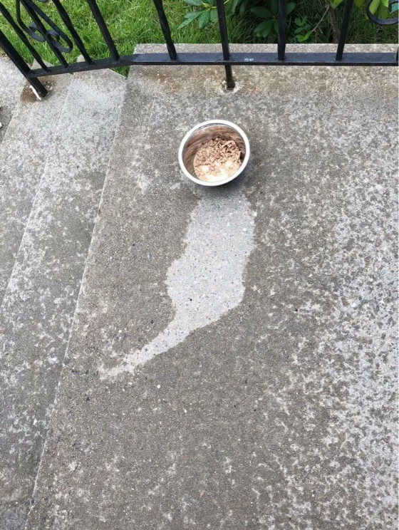 비 오는 날에도 밥 먹고간 친구.jpg | 인스티즈