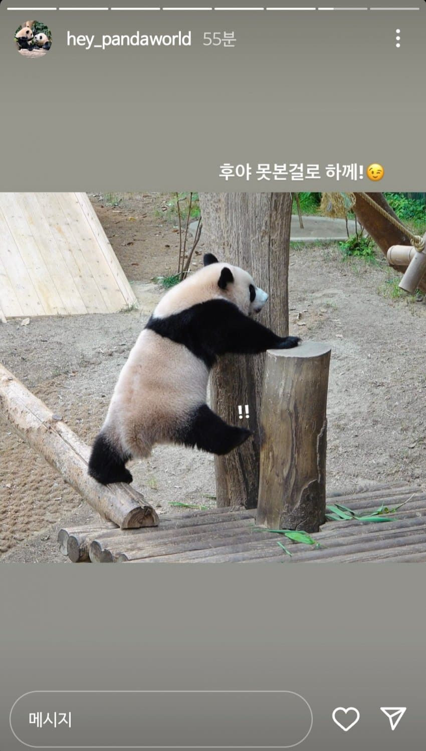 감자다리 후이바오🐼 | 인스티즈