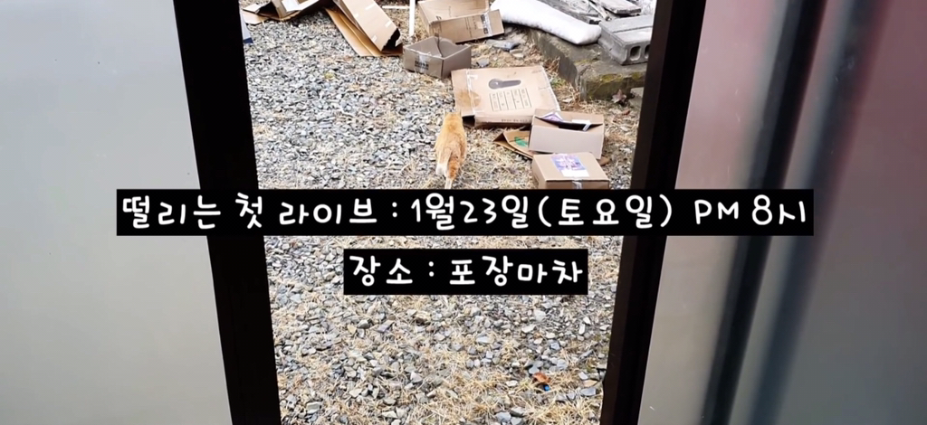 [매탈남] 시간 약속 기가막히게 지키는 천재 고양이 | 인스티즈
