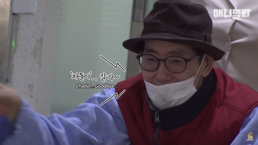 1년만에 자신을 두고 간 주인을 만난 강아지 반응 | 인스티즈