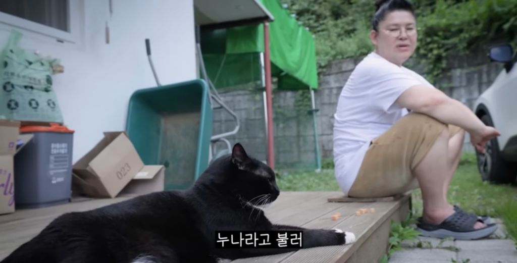 신발 물어 뜯은 고양이 찾아간 이영자 | 인스티즈