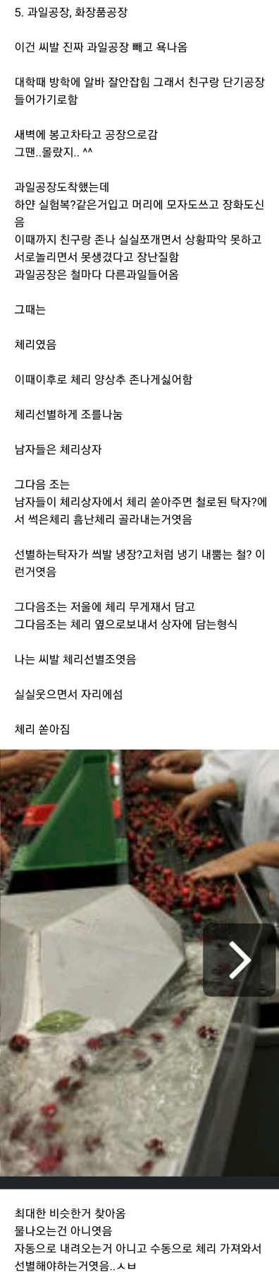 체리공장 알바후기 | 인스티즈