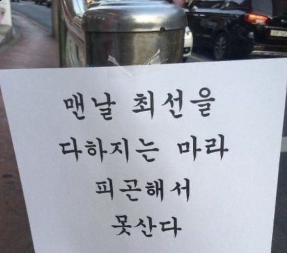 사는 게 힘들고 벅찬 여시들에게 | 인스티즈