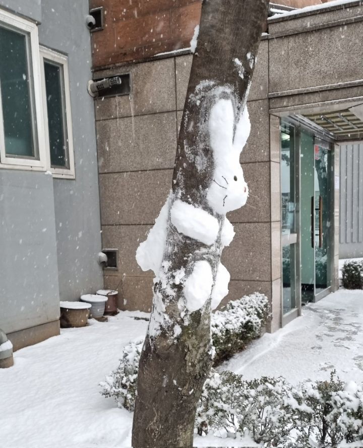 우리 언니가 만든 눈토끼 볼사람.twt | 인스티즈