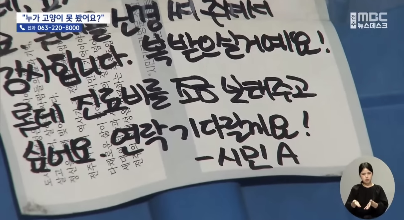 '눈먼 길고양이' 구조작전.. 훈훈한 쪽지 릴레이 | 인스티즈