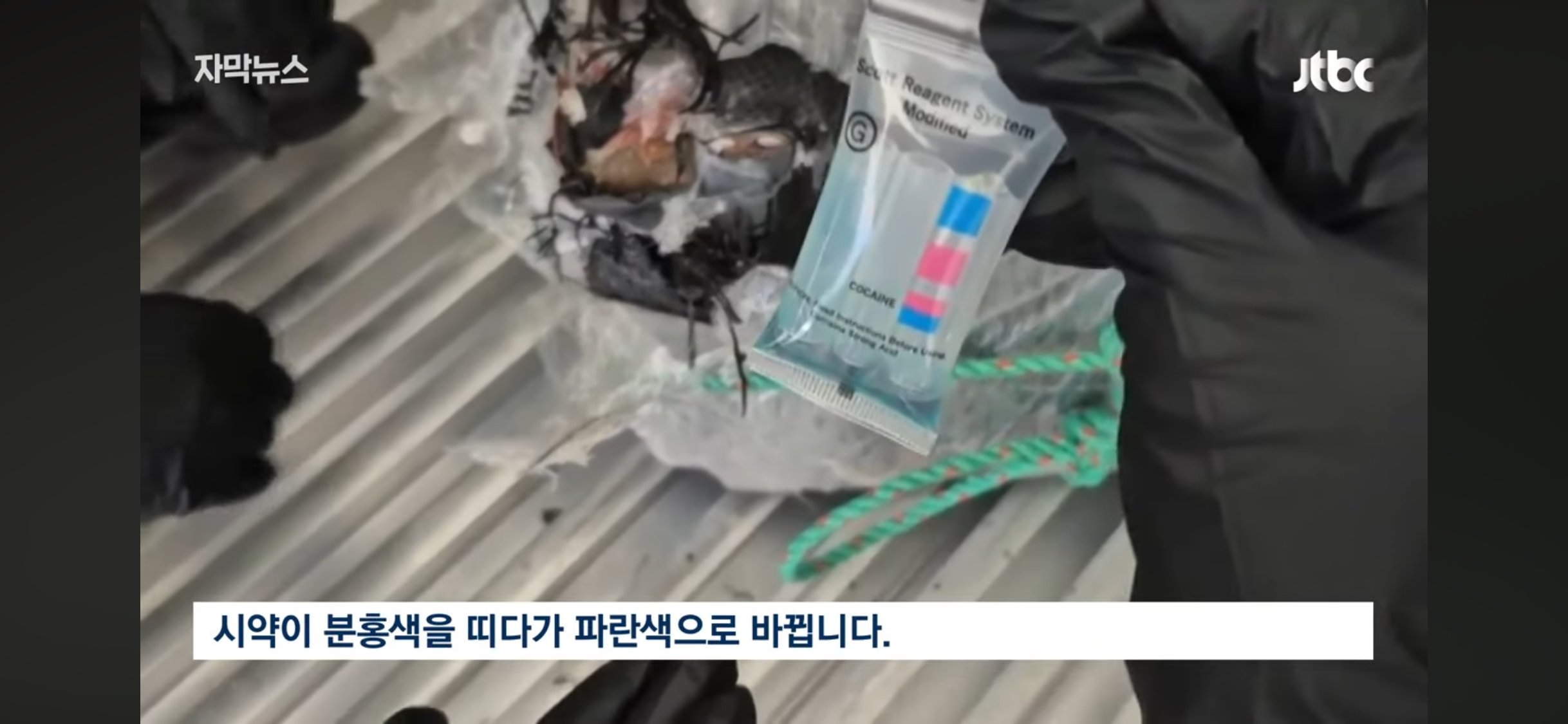대한민국으로 잘못 들어갔어.. 수상한 컨테이너 열어보니 | 인스티즈