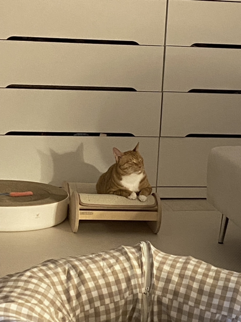 미쳤다 이건 진짜 좀 개에바... | 인스티즈