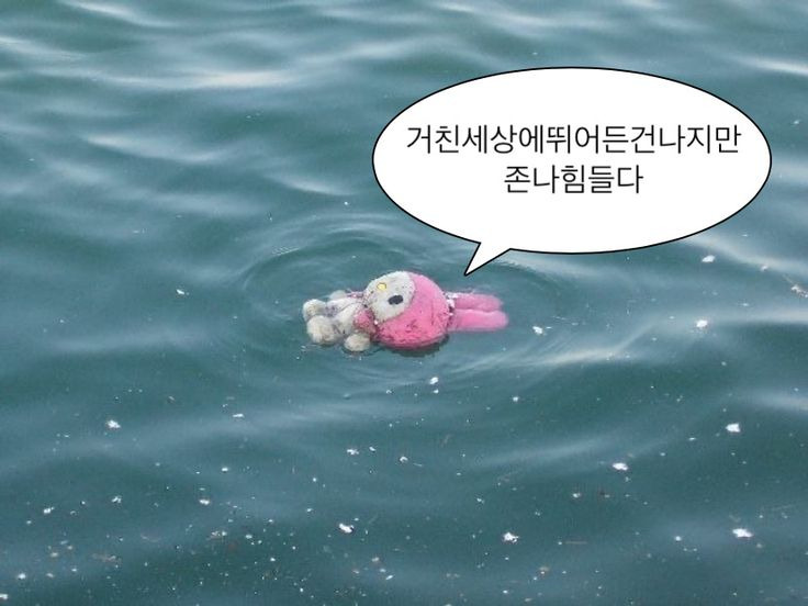 문장 뽑기: 인생에 힘이 되어주는 문장들이 들어있어요 | 인스티즈