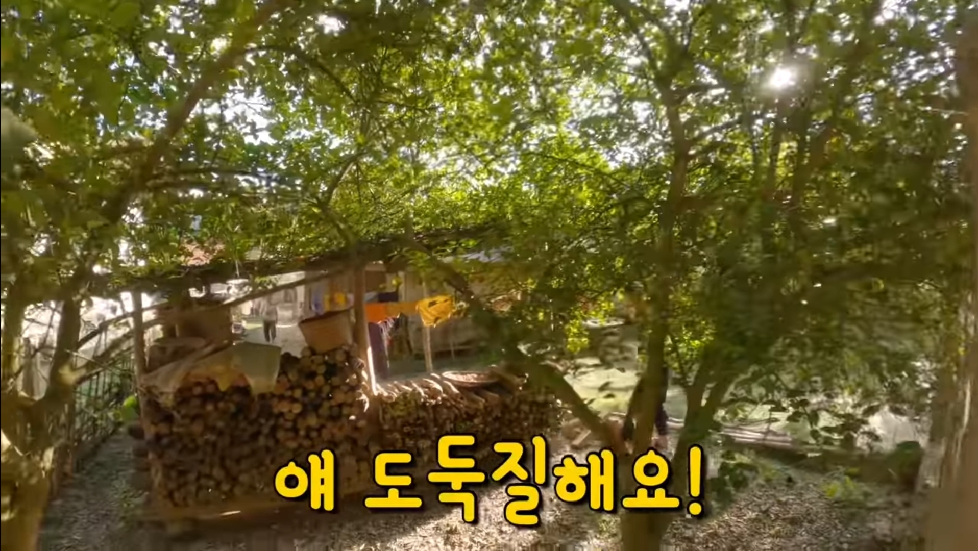 라오스 시골 고3 브이로그 | 인스티즈