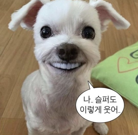 3D 프로그램 초보가 뭔가 만들면 나오는 결과물 | 인스티즈