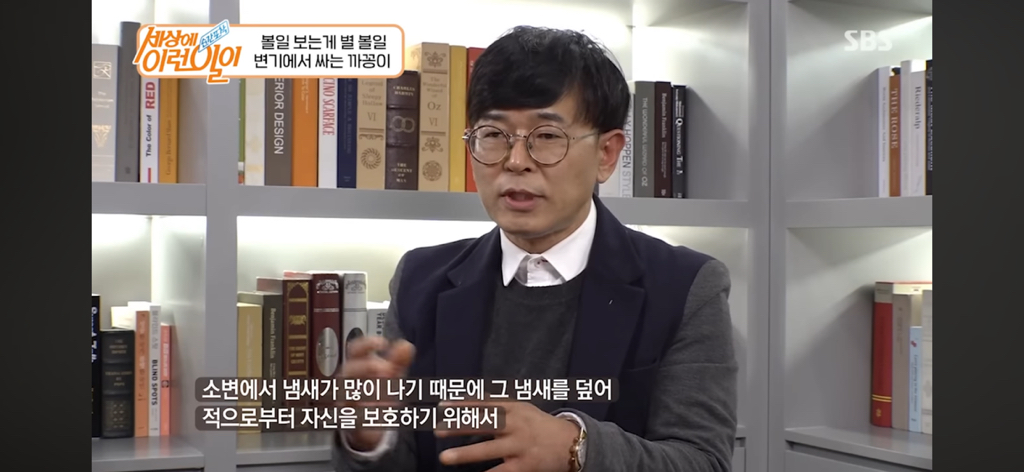 변기에서 볼 일 보는 고양이 | 인스티즈