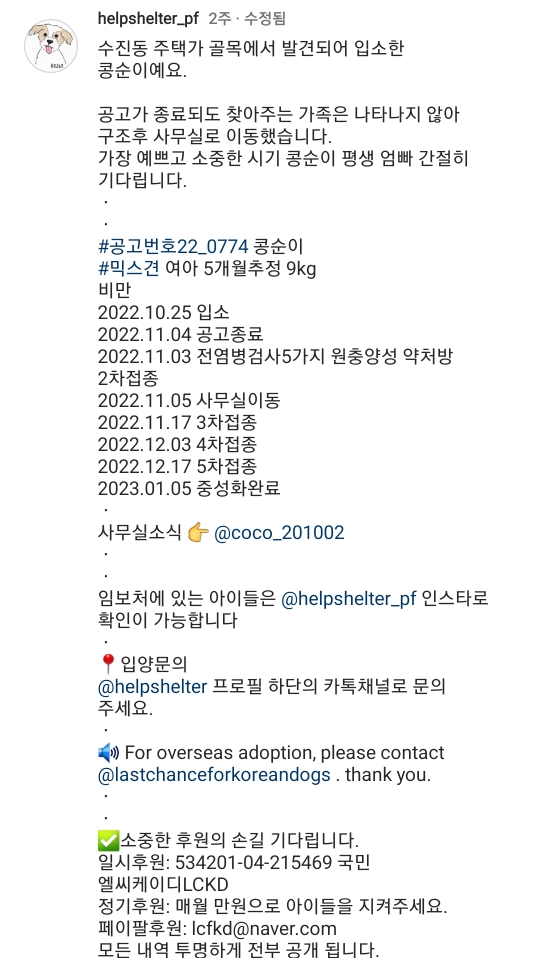 [유기견임보&입양홍보] 주택가 골목에 버려졌던 아기 강아지 콩순이 | 인스티즈