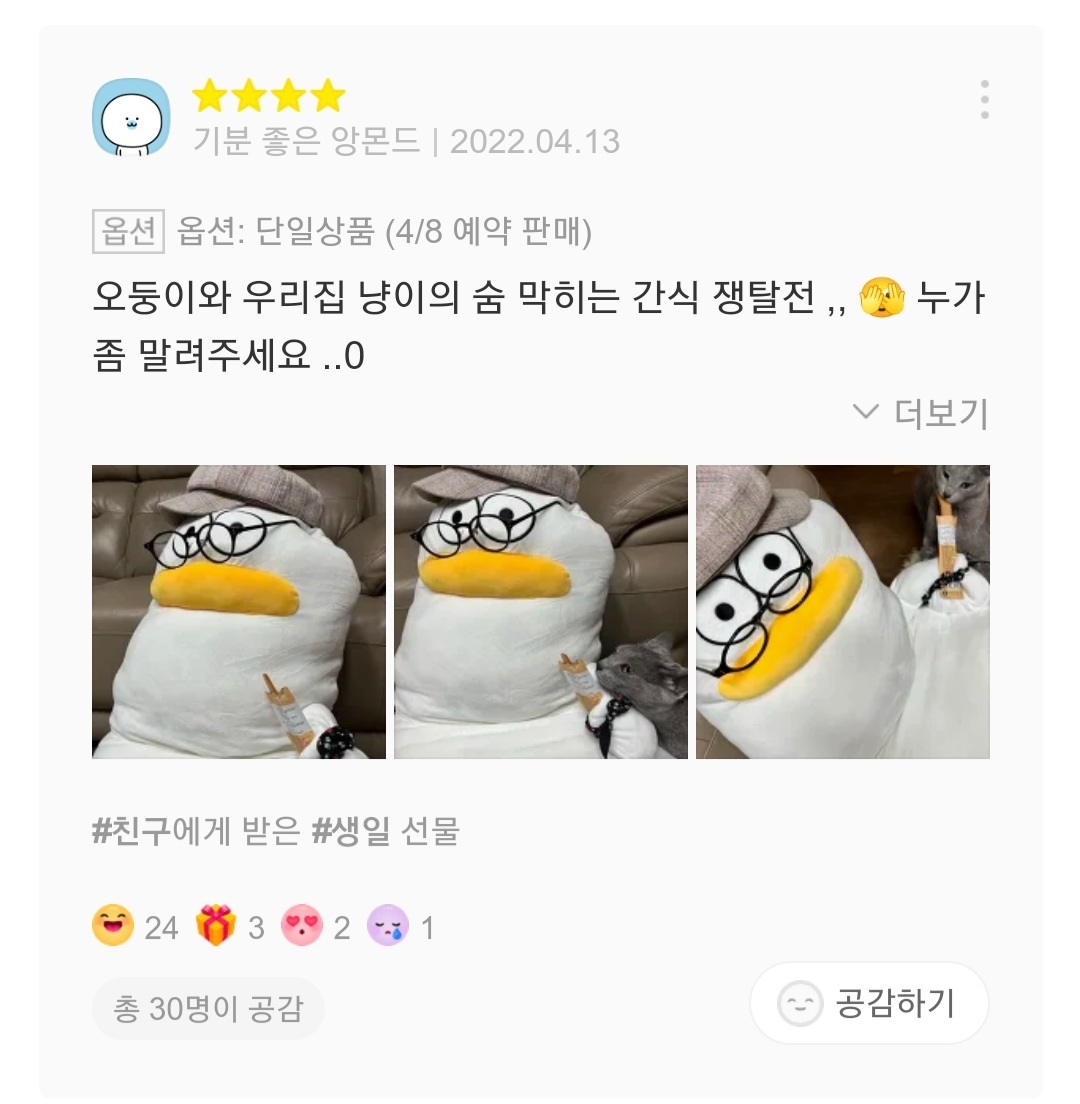 재치있는 오둥이 바디필로우 리뷰들 | 인스티즈