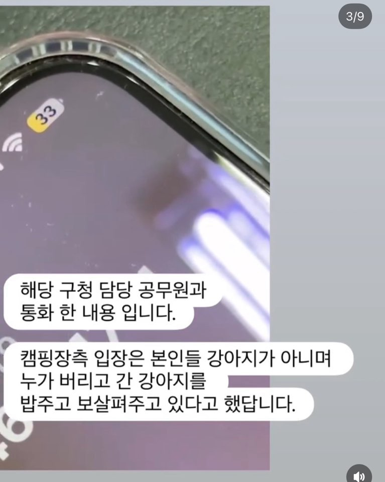 쩌리에서 논란이였던 계곡 방치견에 대한 캠핑장 피드백 | 인스티즈