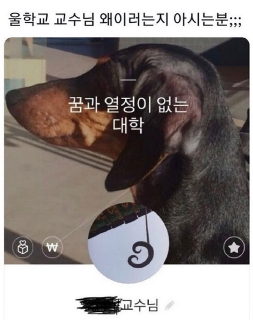 현타가 온듯한 교수님 | 인스티즈