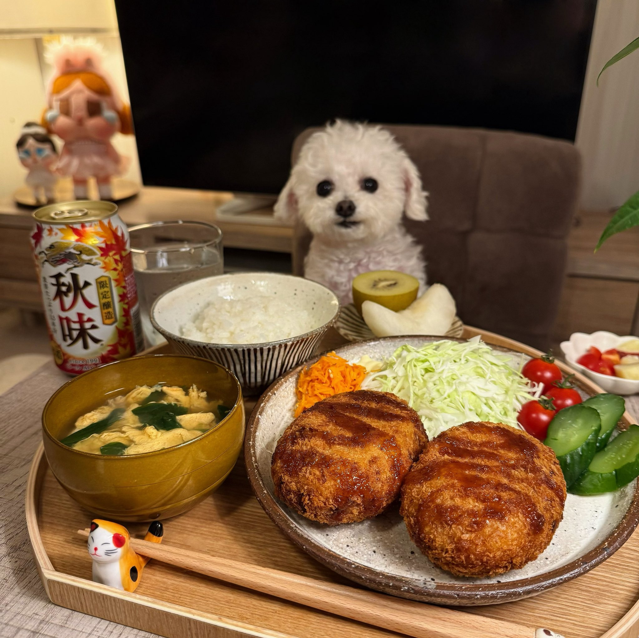 반려견과 함께 밥먹는 사진으로 화제된 트위터 계정.jpg | 인스티즈