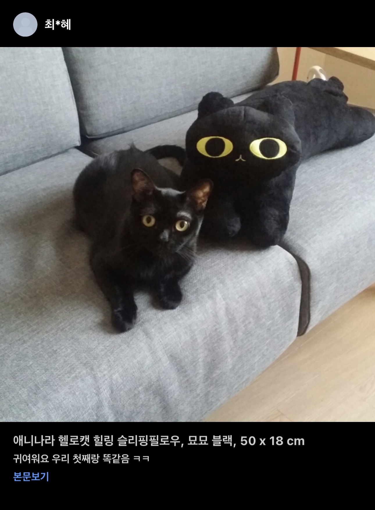 검정 고양이 바디필로우 리뷰창 냥냥판 | 인스티즈