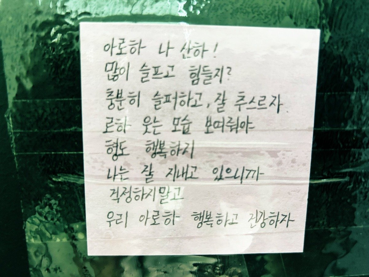 문MOON 이미지