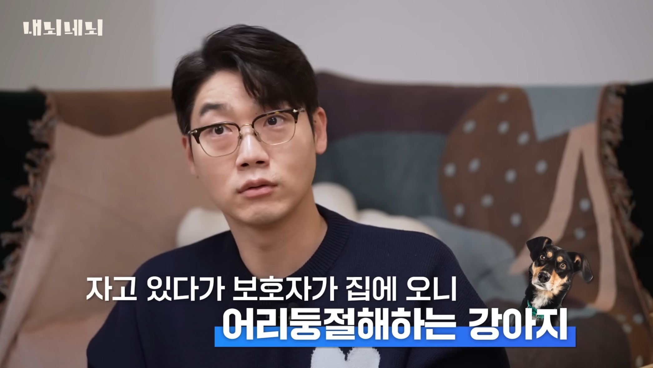 우리 강아지는 내 퇴근시간을 어떻게 아는걸까? | 인스티즈