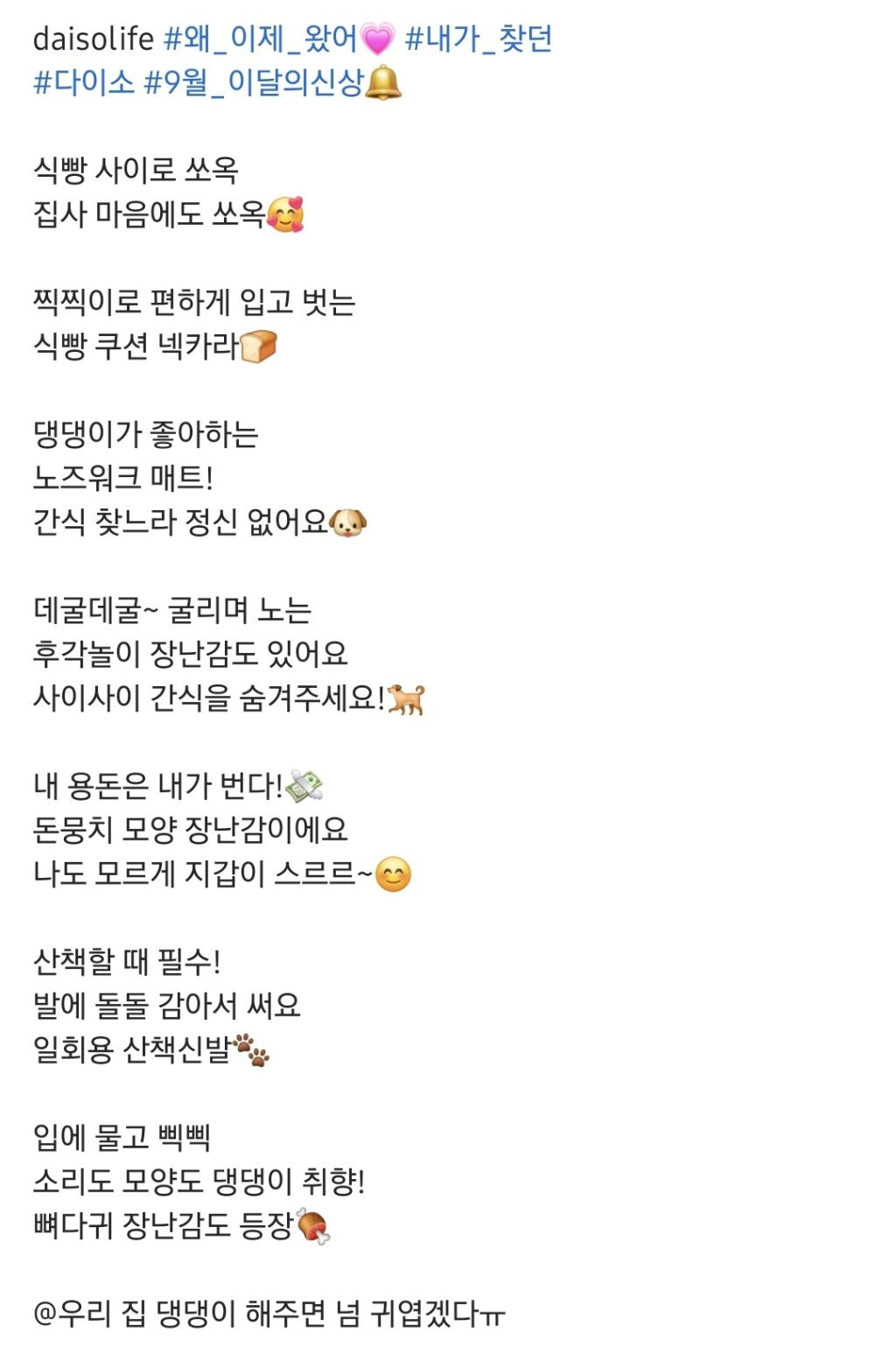 다이소 강아지용품 9월 신상 출시.jpg (노즈워크 매트가 단돈 5,000원) | 인스티즈