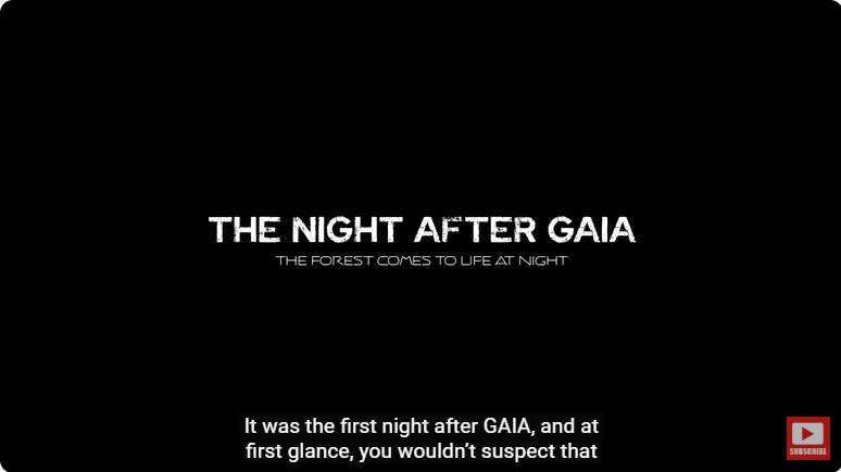 거대한 수조에 열대우림 환경을 조성해놓으면 생기는 일 - 2 | 인스티즈