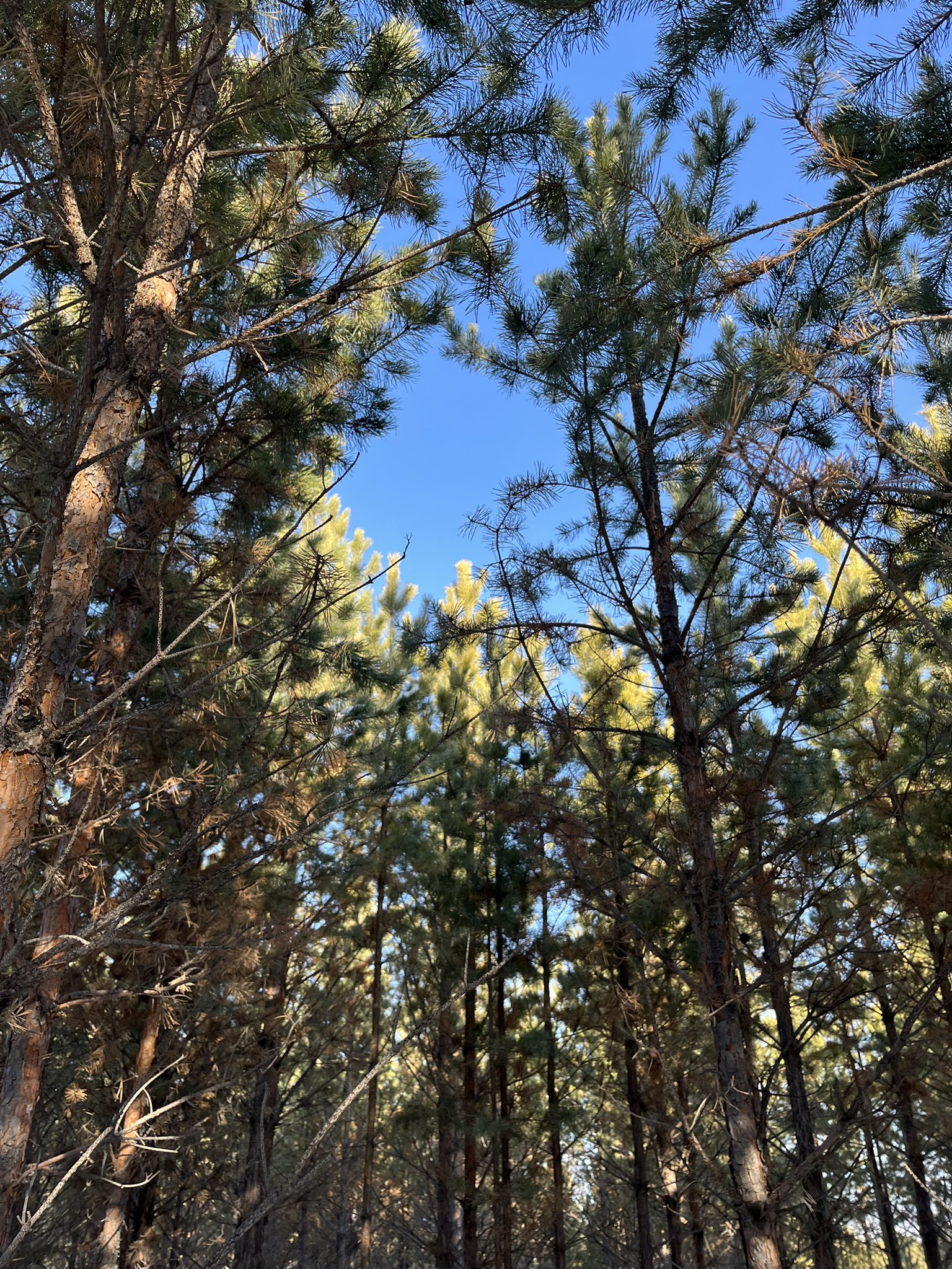 몽골에 가면 생각 정리 하게 돼서 참 좋아.twt | 인스티즈