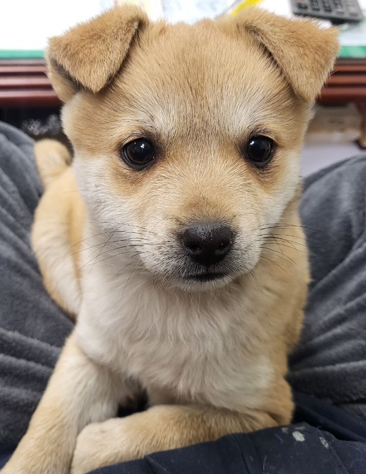 (공지라니... ++추가)새로생긴 회사 복지.. 미쳐서 도저히 일을 못하겠네.. (추가....)++추가 | 인스티즈