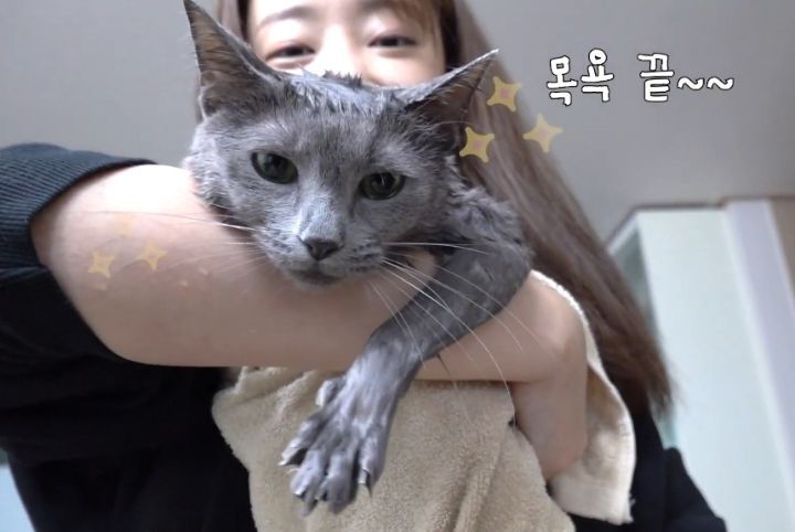 공감 이미지
