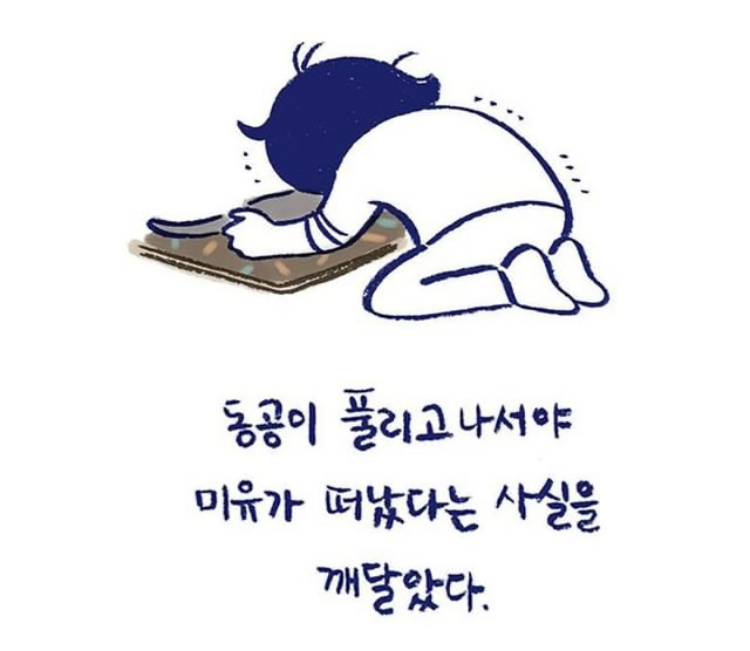 반려동물을 떠나보낸다는 것 | 인스티즈