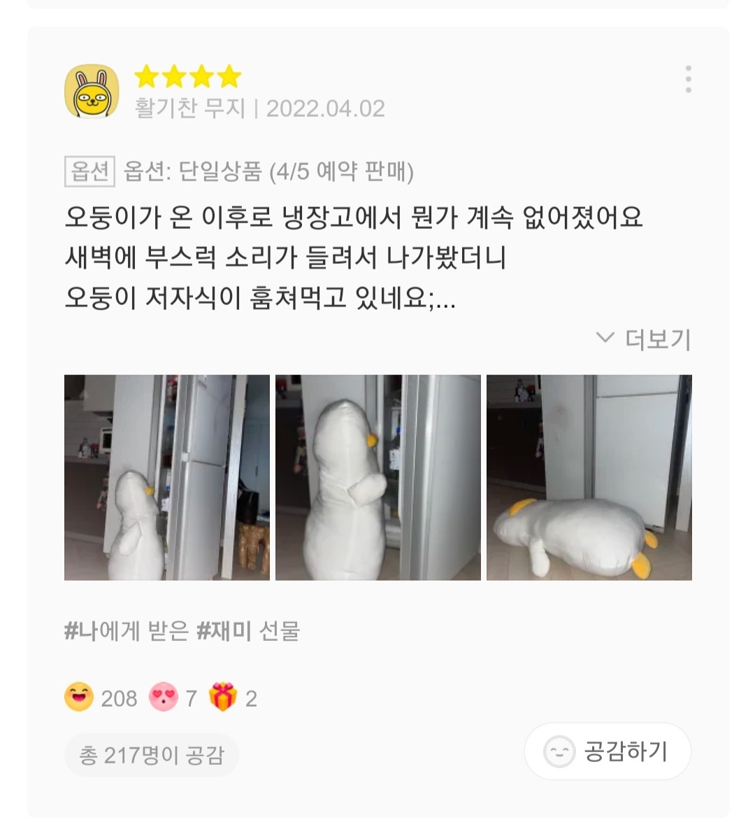 재치있는 오둥이 바디필로우 리뷰들 | 인스티즈