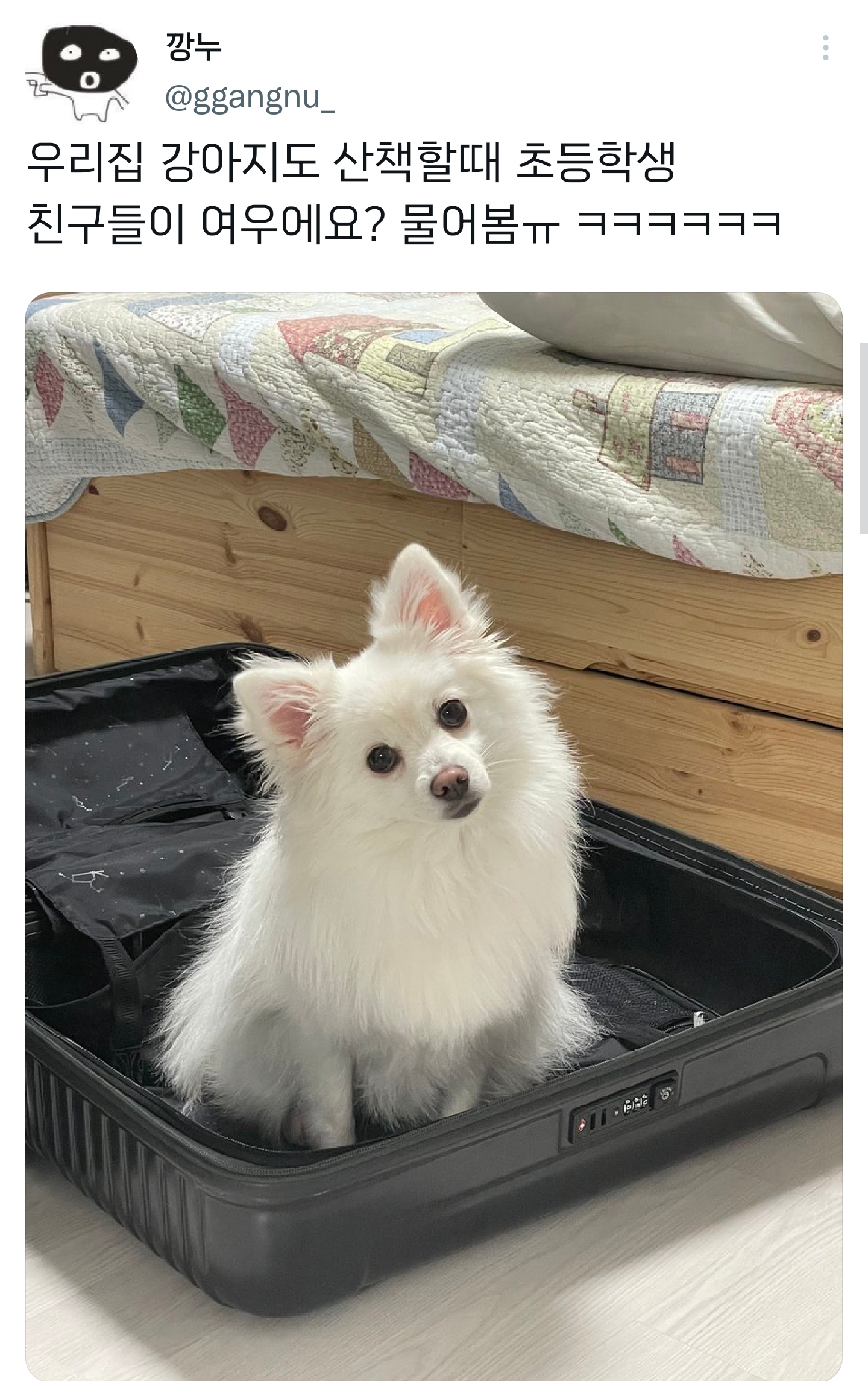 순수하게 동물을 좋아하지만 잘 모르는 사람들.twt | 인스티즈