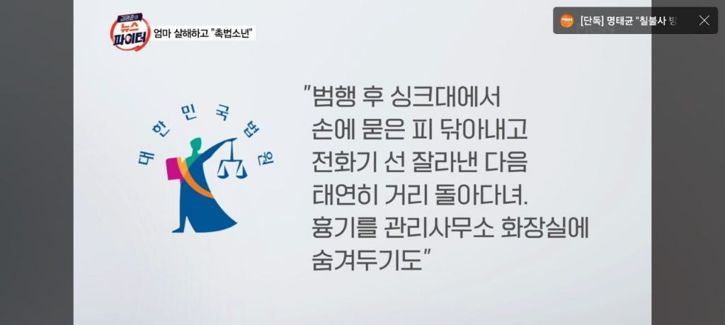 놀이터 시끄럽다 신고한 아들 어머니가 꾸짖자 무참히 살해.."난 촉법, 일본에 가서 살겠다" | 인스티즈