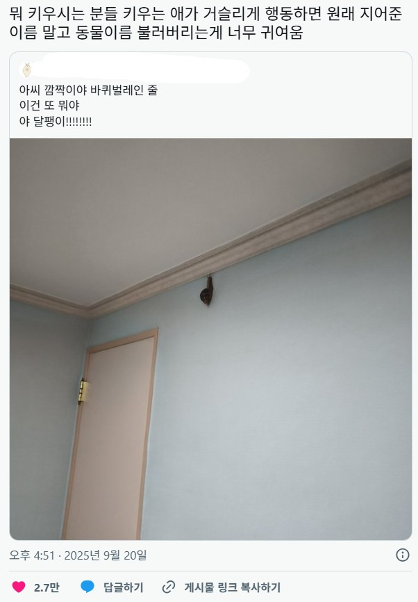 뭐 키우시는 분들 키우는 애가 거슬리게 행동하면 원래 지어준 이름 말고 동물이름 불러버리는게 너무 귀여움 | 인스티즈