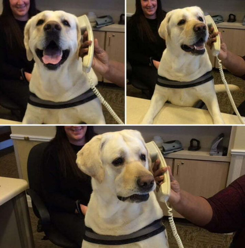 불행한 세상에서 가능한 사랑은 없다 | 인스티즈