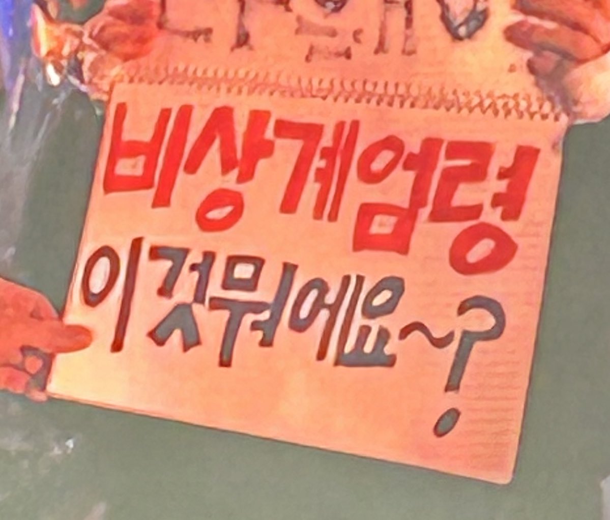 걍 2024년 밈 결산 그 자체인 탄핵 시위 피켓들 상태.twt | 인스티즈