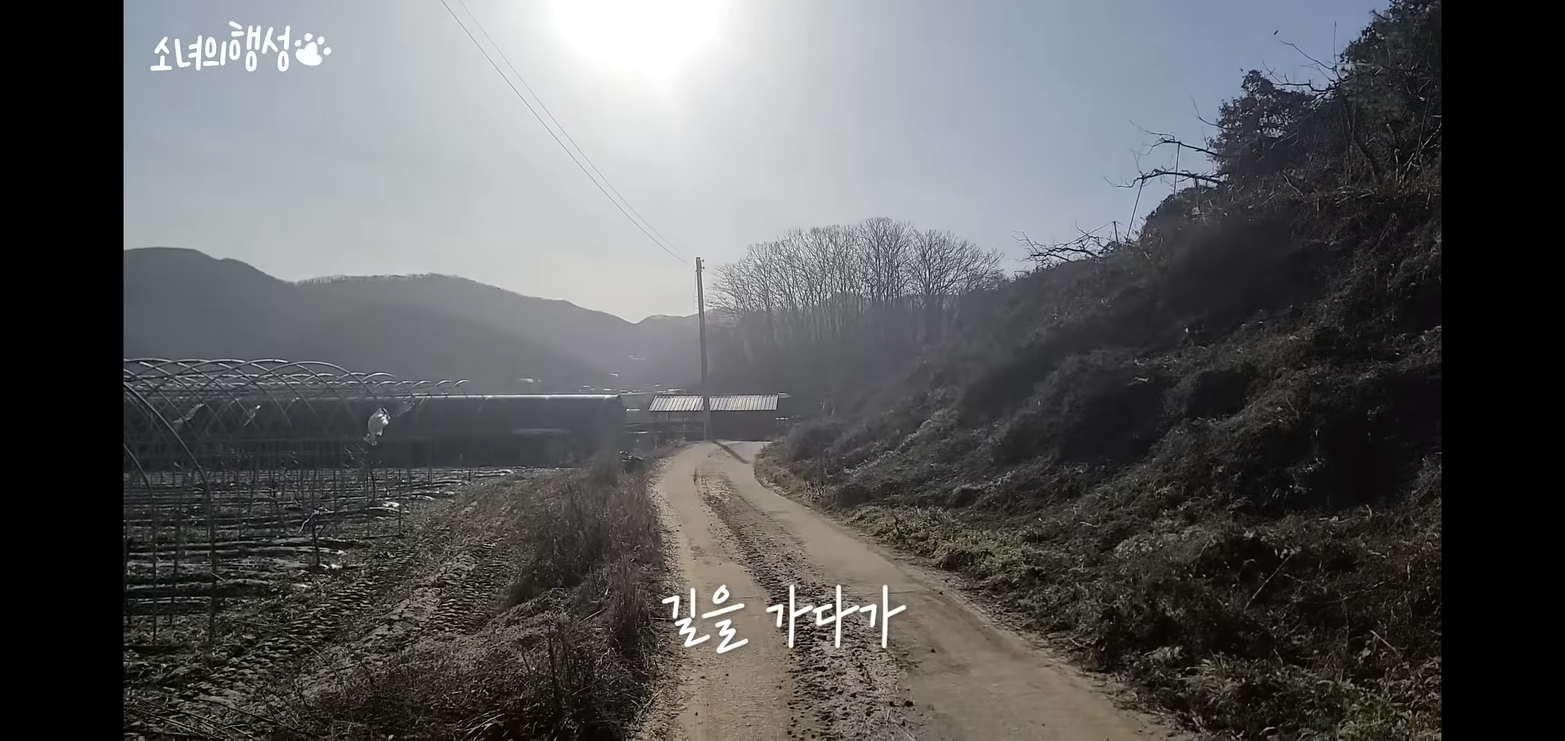 번식장에서 강아지 구조 후 치료했더니 절도죄로 고소당한 유튜버.jpg | 인스티즈